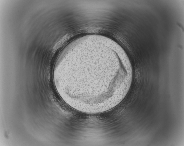 X0000101150682200807251049