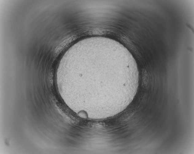 X0000101150683200807251049