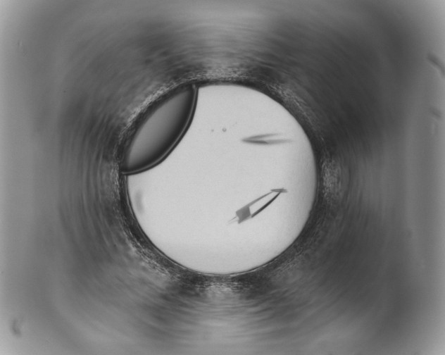 X0000101150684200807251049