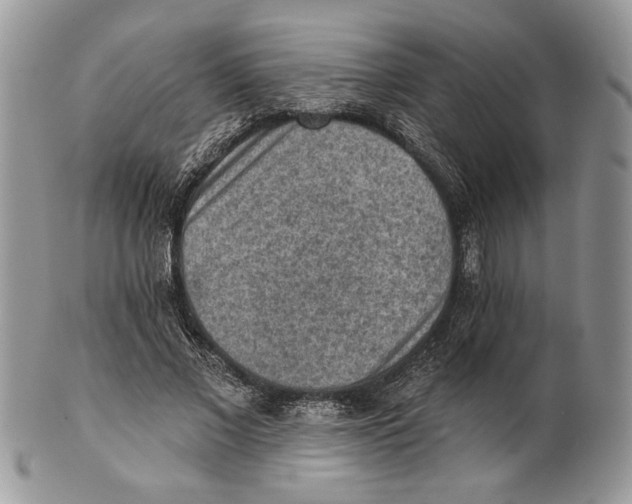 X0000101150685200807251049