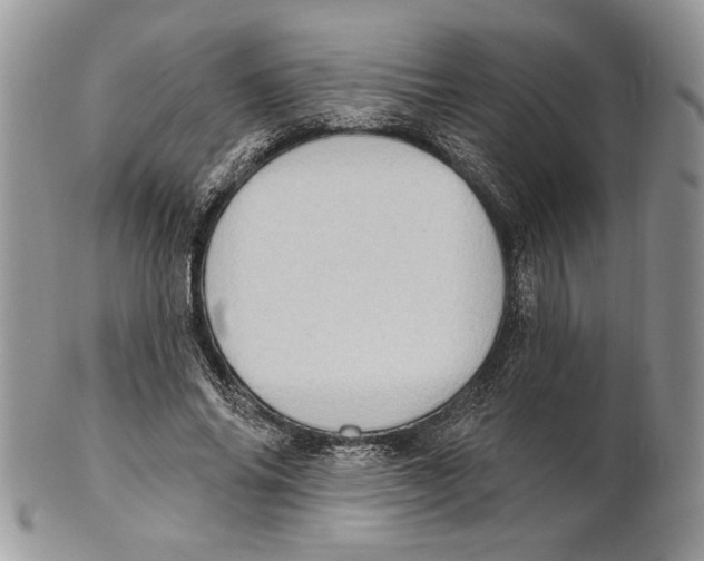 X0000101150686200807251048