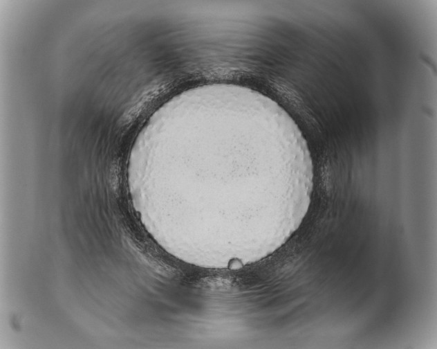 X0000101150687200807251048