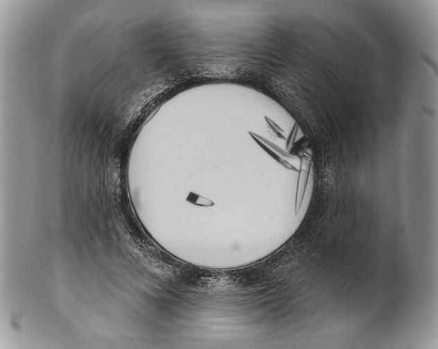 X0000101150688200807251048
