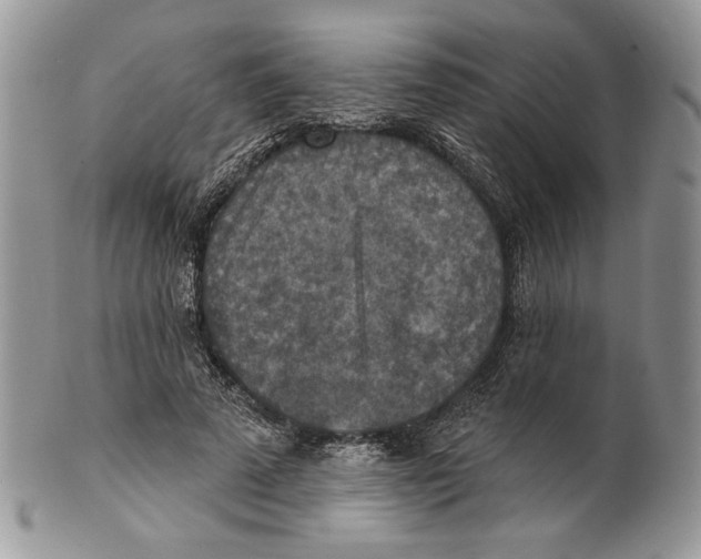 X0000101150689200807251048