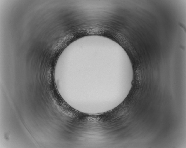 X0000101150690200807251048