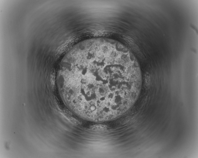 X0000101150691200807251048