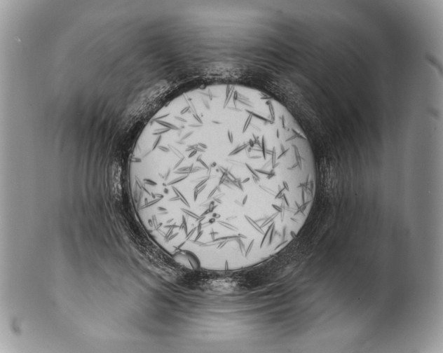 X0000101150692200807251048