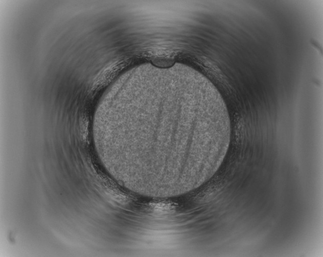 X0000101150693200807251048