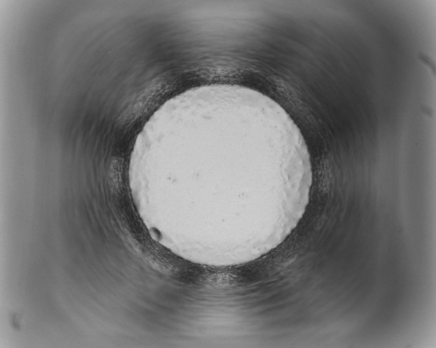 X0000101150695200807251048