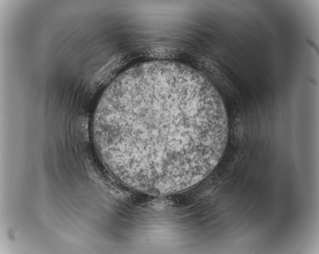 X0000101150696200807251048
