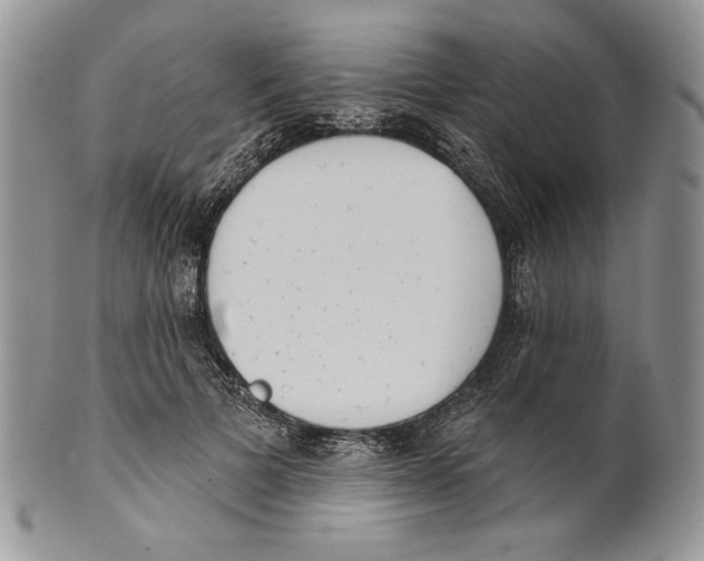 X0000101150697200807251048