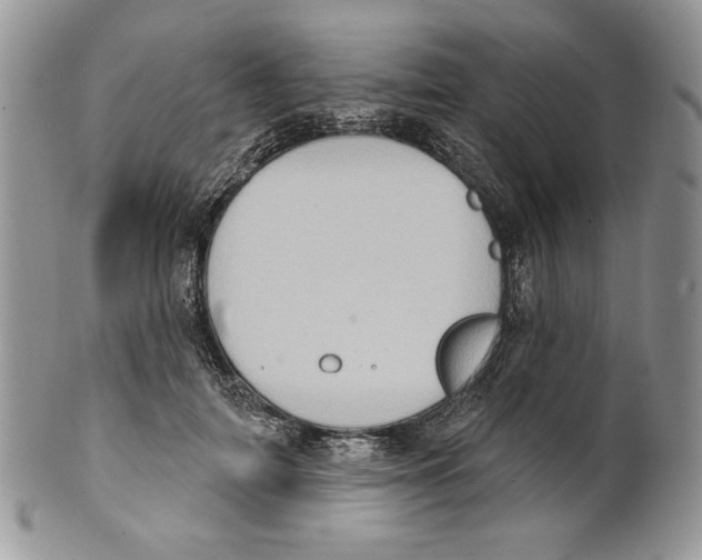 X0000101150698200807251048
