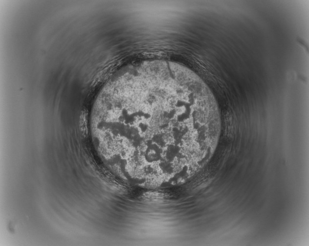 X0000101150699200807251048