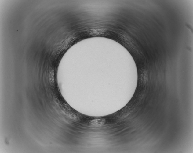 X0000101150700200807251048