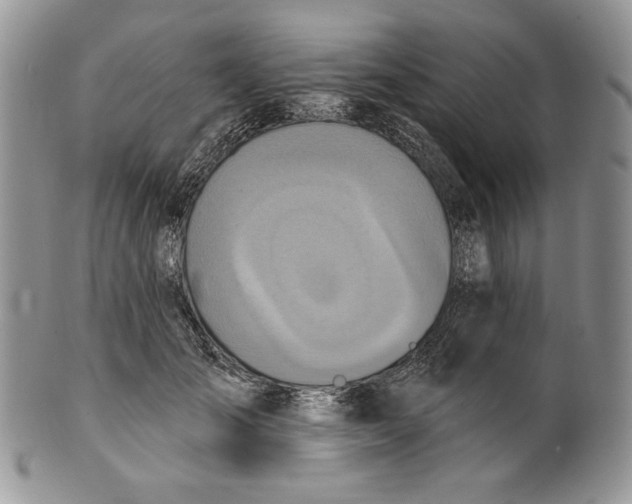 X0000101150701200807251048