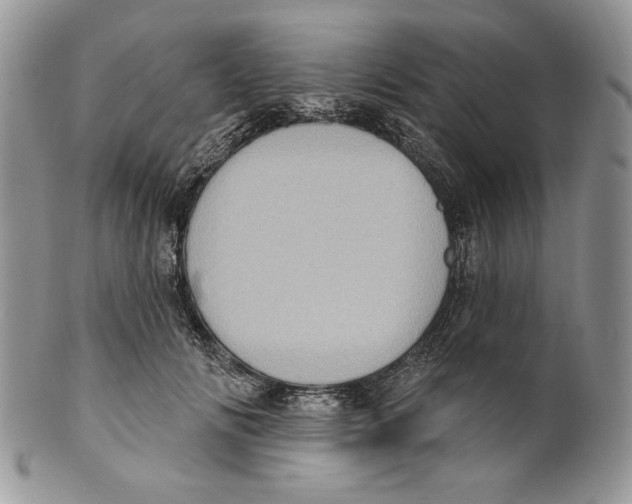 X0000101150702200807251048
