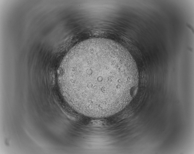 X0000101150703200807251048