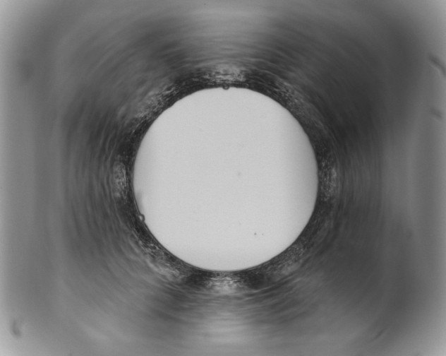 X0000101150704200807251048
