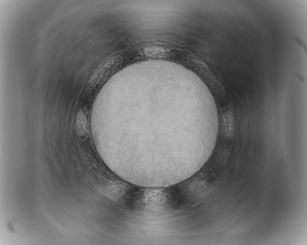 X0000101150705200807251048