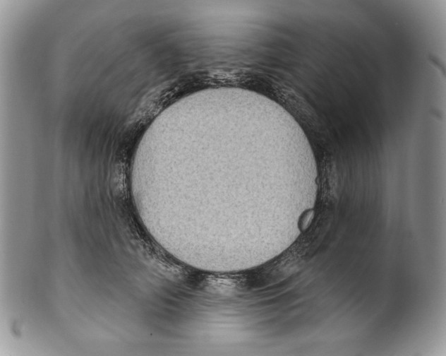 X0000101150706200807251048