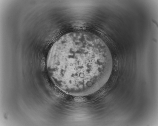 X0000101150707200807251048