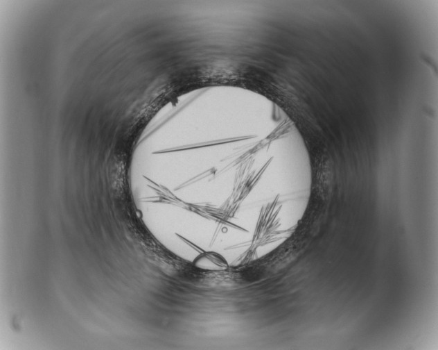 X0000101150708200807251048