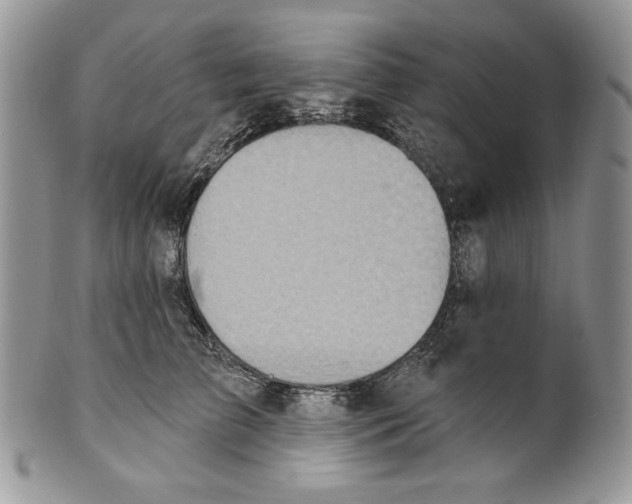 X0000101150709200807251048
