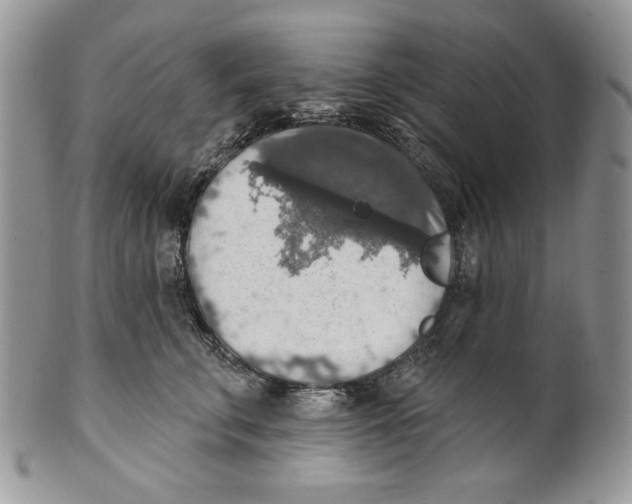 X0000101150711200807251048