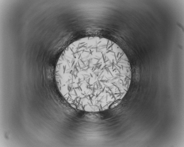 X0000101150712200807251048