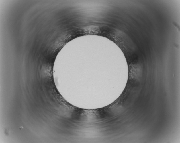 X0000101150713200807251048