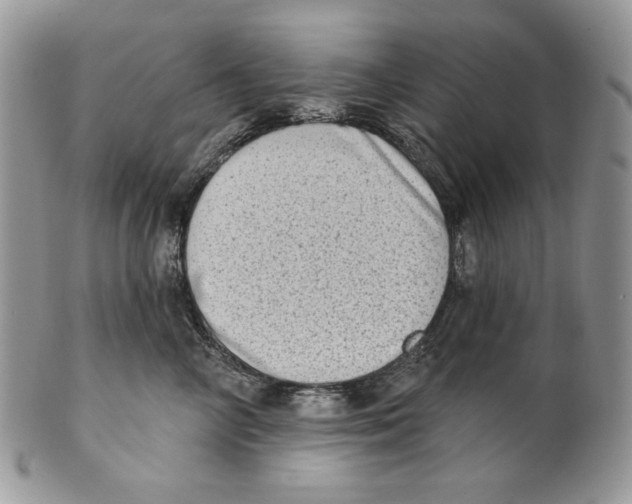 X0000101150714200807251048