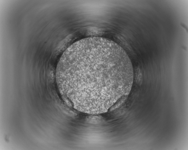 X0000101150716200807251048
