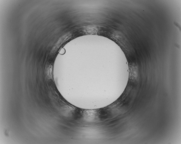 X0000101150717200807251048