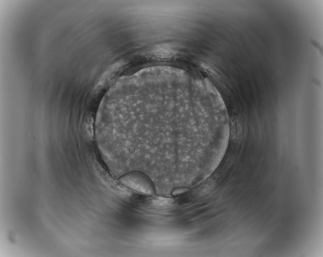 X0000101150718200807251048