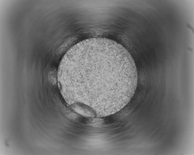 X0000101150719200807251048
