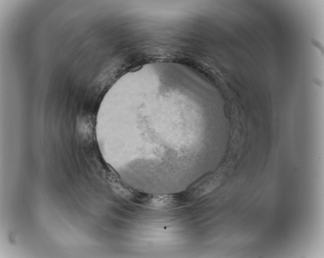 X0000101150720200807251048