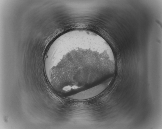 X0000101150721200807251047