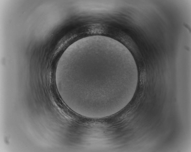 X0000101150722200807251047