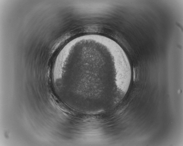 X0000101150723200807251047