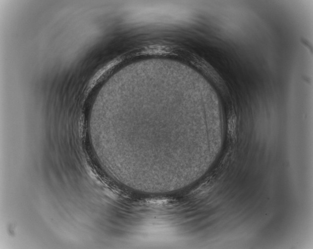 X0000101150724200807251047