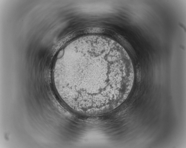 X0000101150725200807251047
