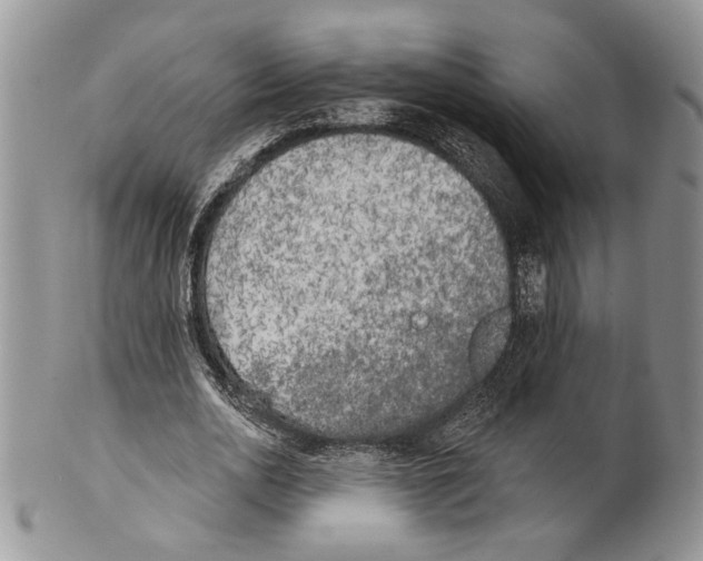 X0000101150726200807251047