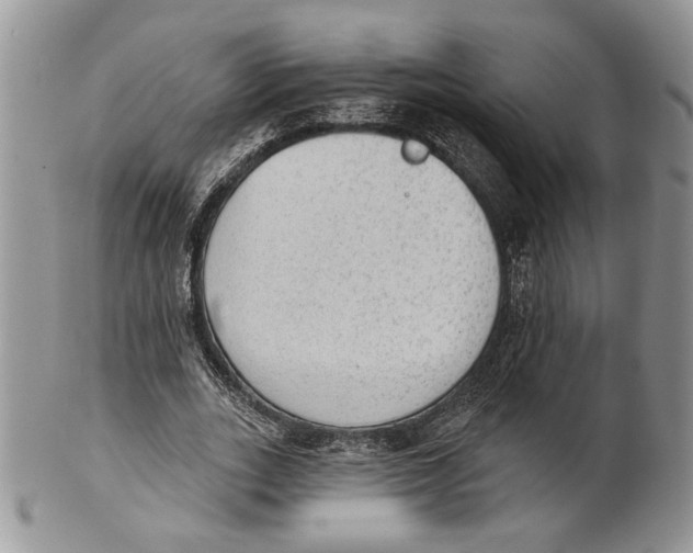 X0000101150727200807251047