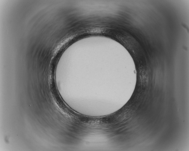 X0000101150728200807251047