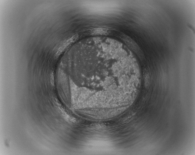 X0000101150729200807251047