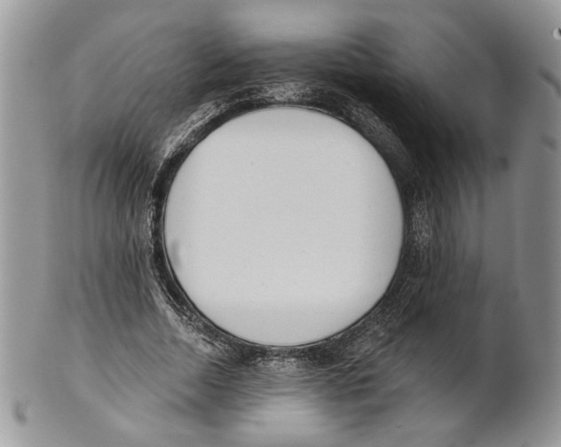 X0000101150730200807251047