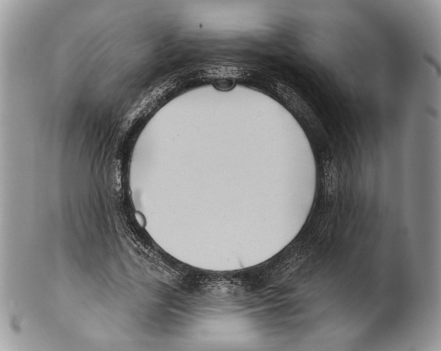 X0000101150731200807251047