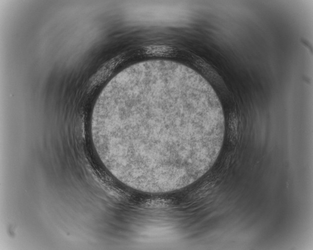 X0000101150734200807251047