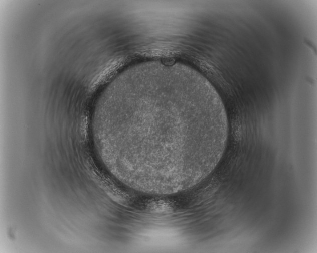 X0000101150735200807251047