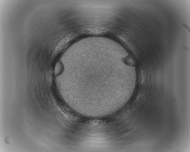 X0000101150736200807251047